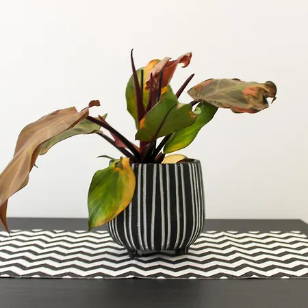 Apartment Casa Carlotta Polignano a Mare